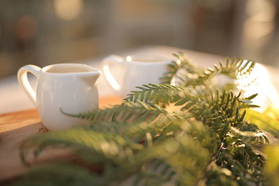 Close-up of tea cup on table