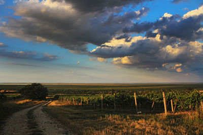 Scenic view of field against cloudy sky