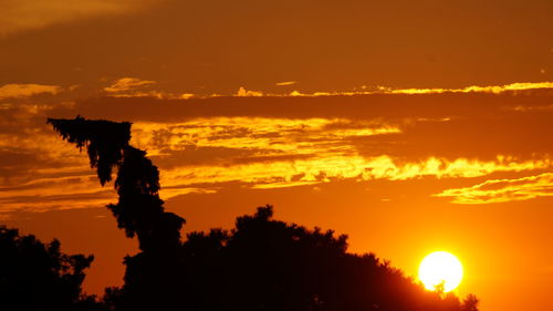 Silhouette trees against dramatic sky during sunset