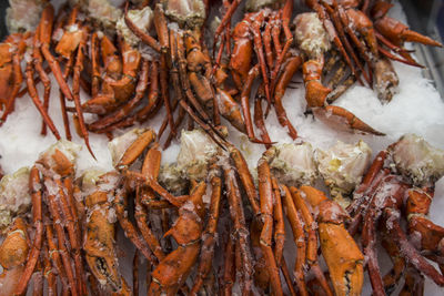 High angle view of fish for sale in market