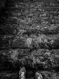 Low section of person standing on ground