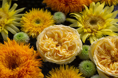 High angle view of yellow and orange flowers