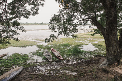 Scenic view of sea seen through trees