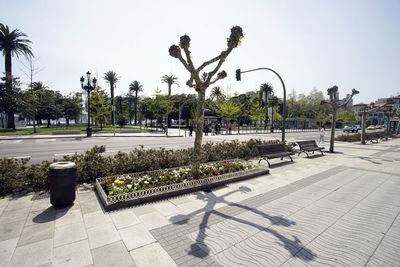 Plants growing in park by swimming pool against sky