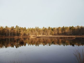 Reflection of trees in lake against sky