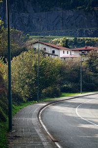 The road with green trees