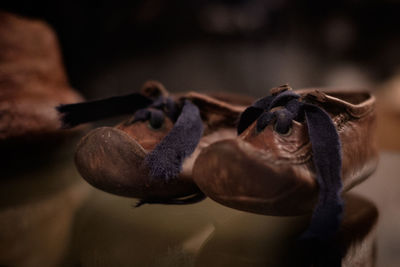 Close-up of two old baby shoes