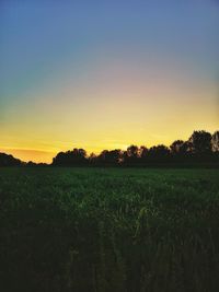 Scenic view of field against sky during sunset