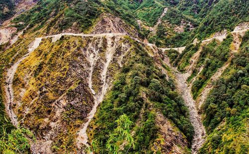 High angle view of trees on mountain