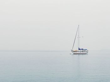 Sailboat sailing on sea against clear sky