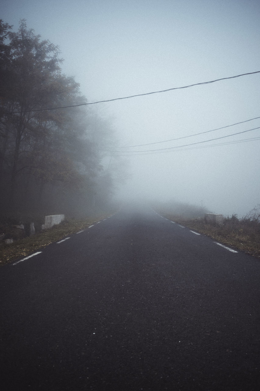 EMPTY ROAD ALONG SILHOUETTE TREES AND PLANTS