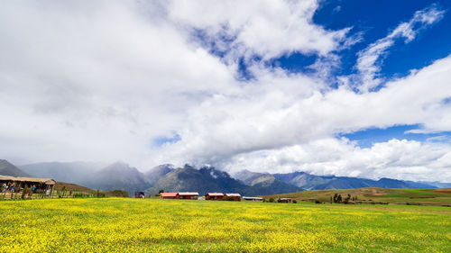 Scenic view of field against sky