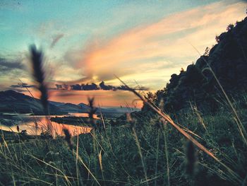 Scenic view of landscape against sky at sunset