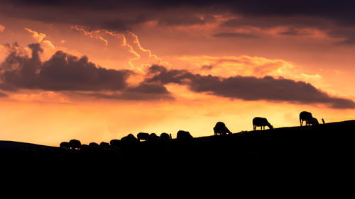Low angle view of silhouette people against sky during sunset