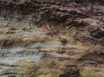 Full frame shot of textured rock