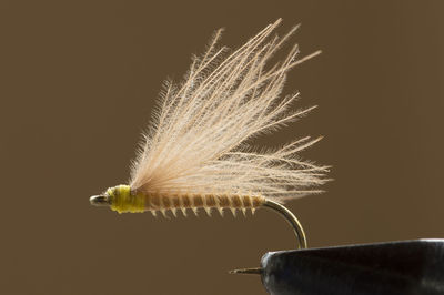 Dry fly on a clamp