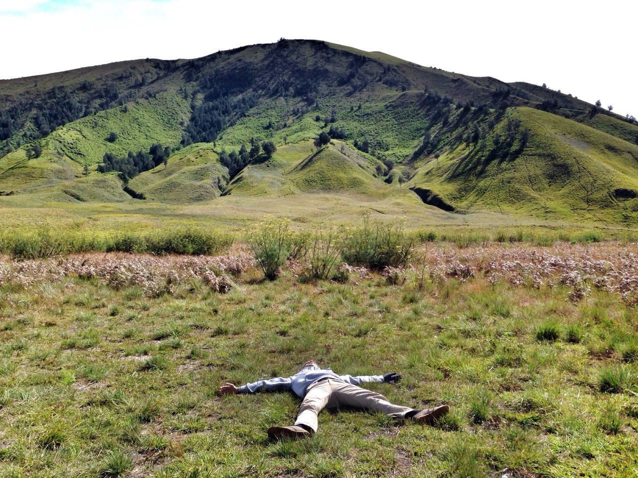 animal themes, grass, animals in the wild, bird, wildlife, field, mountain, landscape, grassy, green color, nature, full length, one animal, beauty in nature, tranquility, tranquil scene, flying, day, side view, two animals