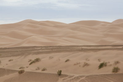 Scenic view of desert against sky