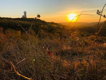 Scenic view of field against sky during sunset