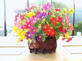 Close-up of potted plants on table