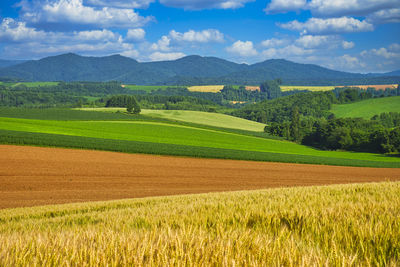 Beautiful rural landscape in biei, hill town