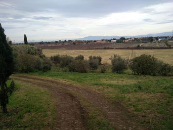 Scenic view of field against sky