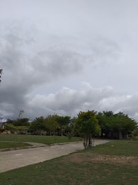 Trees on field against sky