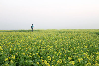 Rear view of person standing in field