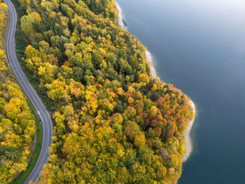 Idyllic road by the lake in autumn