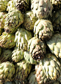 Full frame shot of vegetables for sale in market