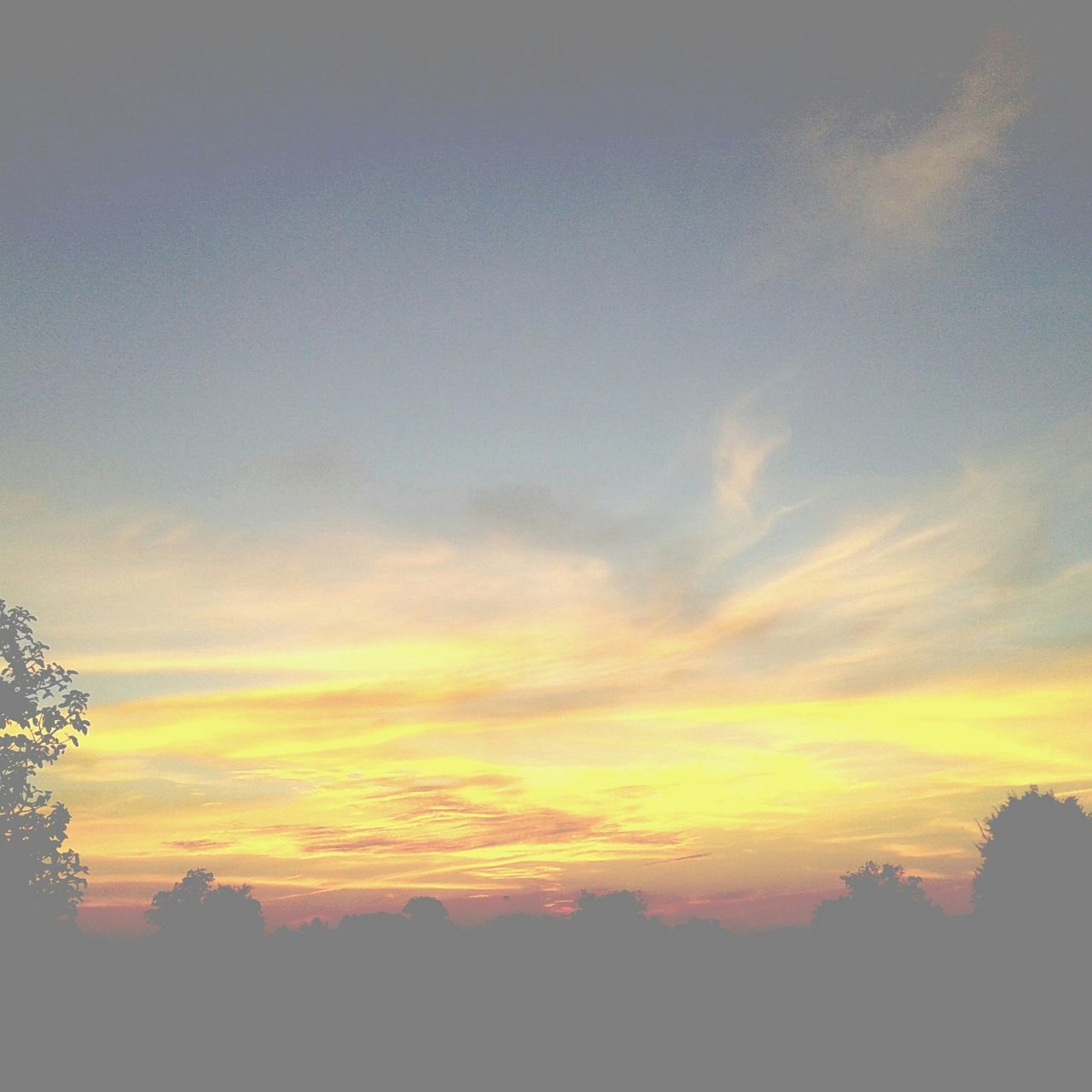 sunset, sky, beauty in nature, scenics, tranquility, tranquil scene, orange color, silhouette, nature, cloud - sky, idyllic, low angle view, outdoors, cloud, no people, sun, sunlight, copy space, tree, majestic