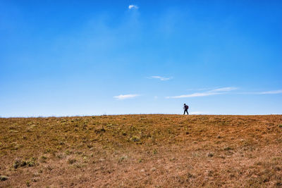 Man on field against blue sky