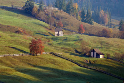 Scenic view of landscape during autumn