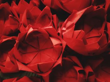 Full frame shot of red roses