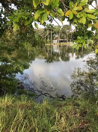 Reflection of trees in lake