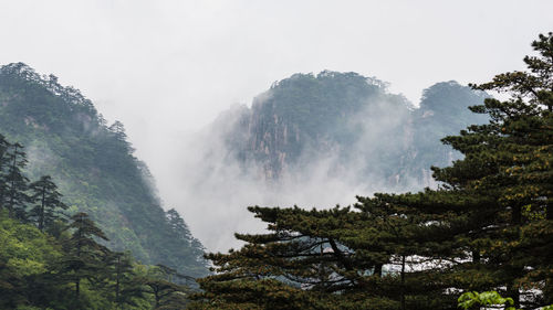 Scenic view of waterfall in forest against clear sky