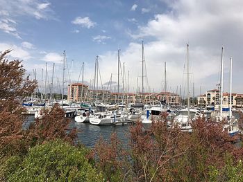 Boats moored at harbor