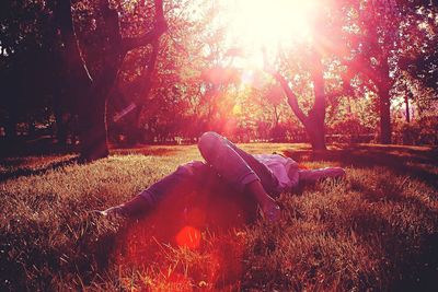 Low section of man on tree at sunset