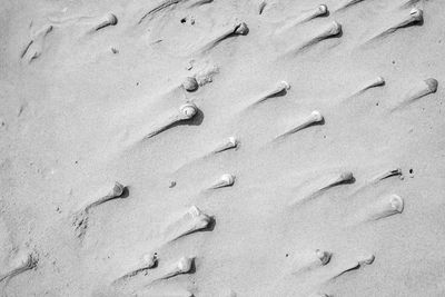 Full frame shot of sand at beach