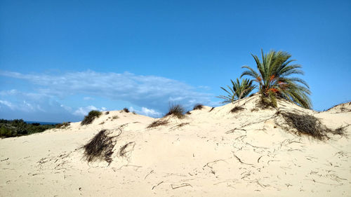 Scenic view of desert against sky