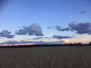 Scenic view of field against sky during sunset