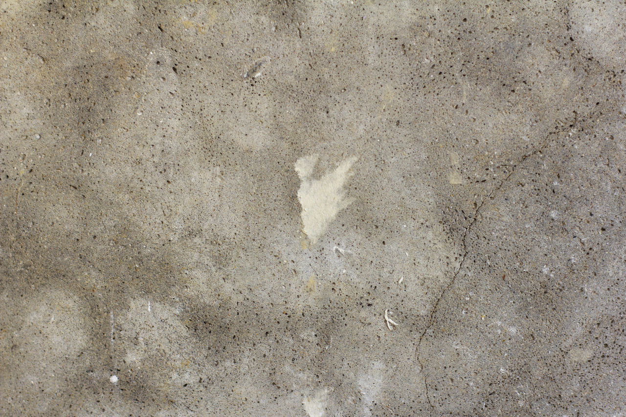 CLOSE-UP OF CONCRETE WALL
