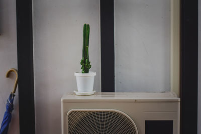 Close-up of potted plant on window sill at home