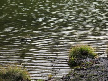 High angle view of lake