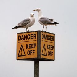 Information sign on beach against sky