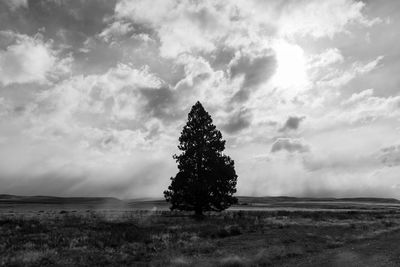 Black and white photo of lone tree on with sunlight breaking through clouds in background