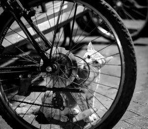 High angle view of bicycle wheel