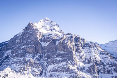 Snow covered trees in mountains, switzerland alps