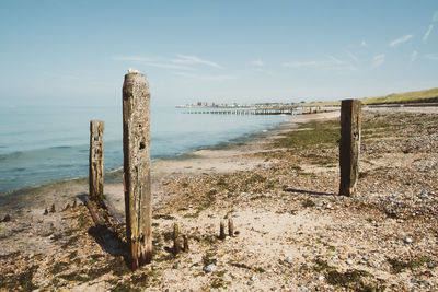 Wooden posts on beach against sky