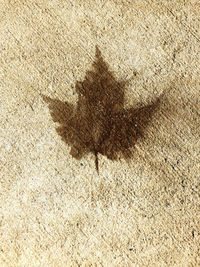 High angle view of shadow on sand